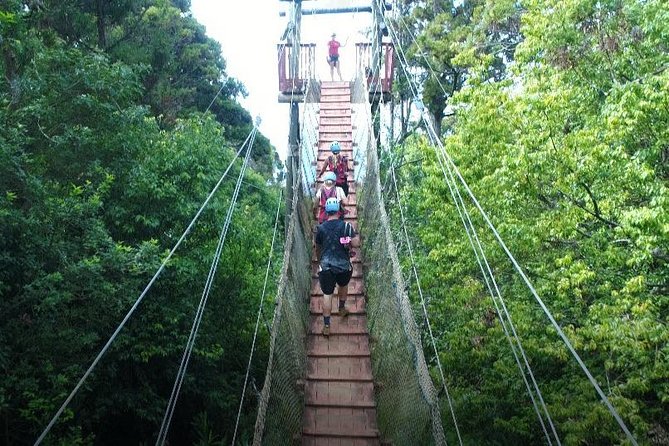Small-Group Half-Day Maui Zipline Tour - Weight and Age Requirements