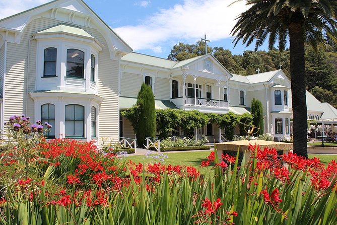 Small Group Half-Day Napier Wine Experience Tour - Traveler Experiences