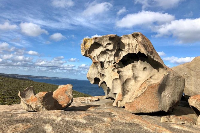 Small Group Kangaroo Island Tour - Flinders Chase - Inclusions and Features