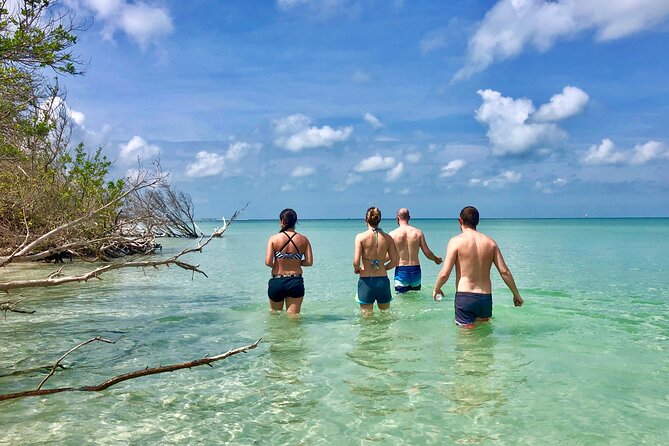 Small Group Kayak Tour of the Shell Key Preserve - Inclusions and Pricing