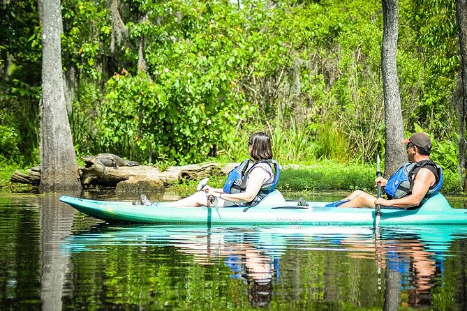 Small-Group Manchac Swamp Kayak Tour With Local Guide - Traveler Feedback and Reviews