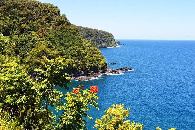 Small-Group Road to Hana Luxury Tour - Tour Guides