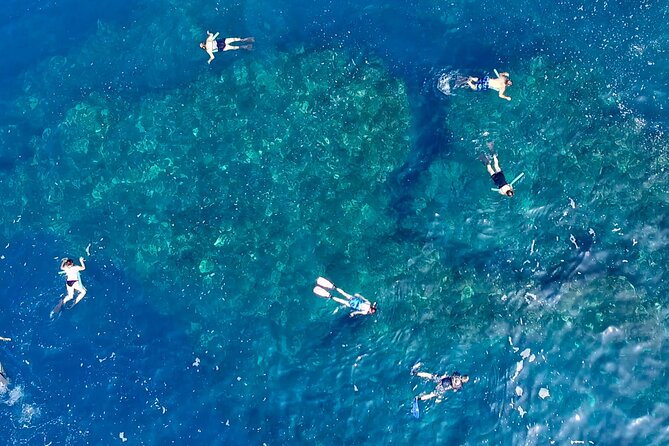 Small Group Snorkeling Expedition South Kona - Cancellation Policy Details