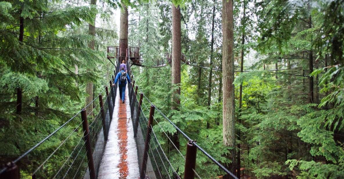 Small Group Tour of Capilano Bridge & Grouse Mountain - Tour Review Summary