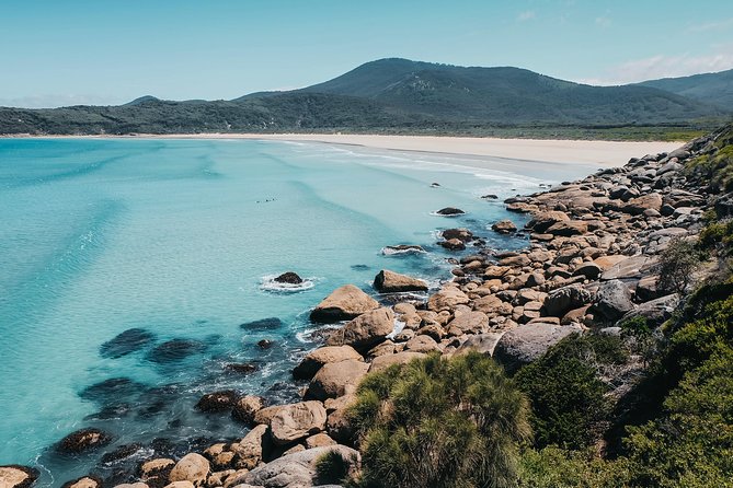 Small Group - Wilsons Promontory Hiking Day Tour From Melbourne - Inclusions and Logistics