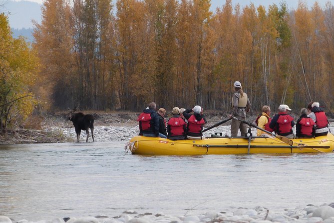 Snake River Scenic Float Trip With Teton Views in Jackson Hole - Safety Measures