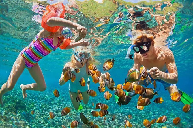 Snorkeling at Blue Lagoon Bali With Lunch and Transport - Lunch Details