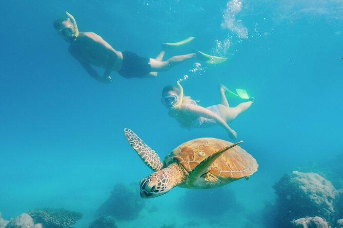 Snorkelling or Glass Bottom Boat at Green Island From Cairns - Booking and Cancellation Policies