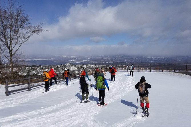 -Snow Mountain Hiking at the Foot of Asama- Karuizawa Snowshoe Tour - Pricing and Booking