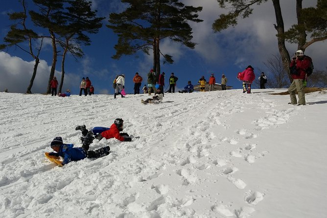 Snow Mountain Hiking to Enjoy With Family! Ice Cream Making Snowshoe - Tour Overview