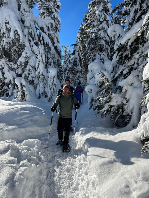 Snowshoeing in Vancouver's Winter Wonderland - Experience Highlights