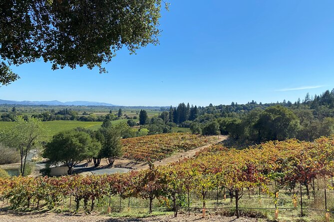 Sonoma County Winery Tour With Tastings  - Santa Rosa - Tour Experience and Vineyards