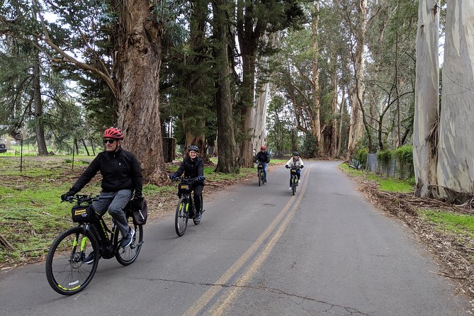 Sonoma Valley Pedal Assist Bike Tour With Lunch - Tour Highlights
