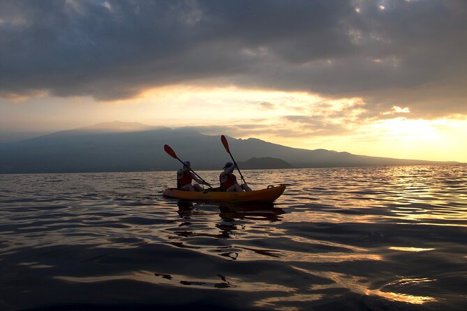 South Maui Kayak and Snorkel Tour With Turtles - Booking Requirements