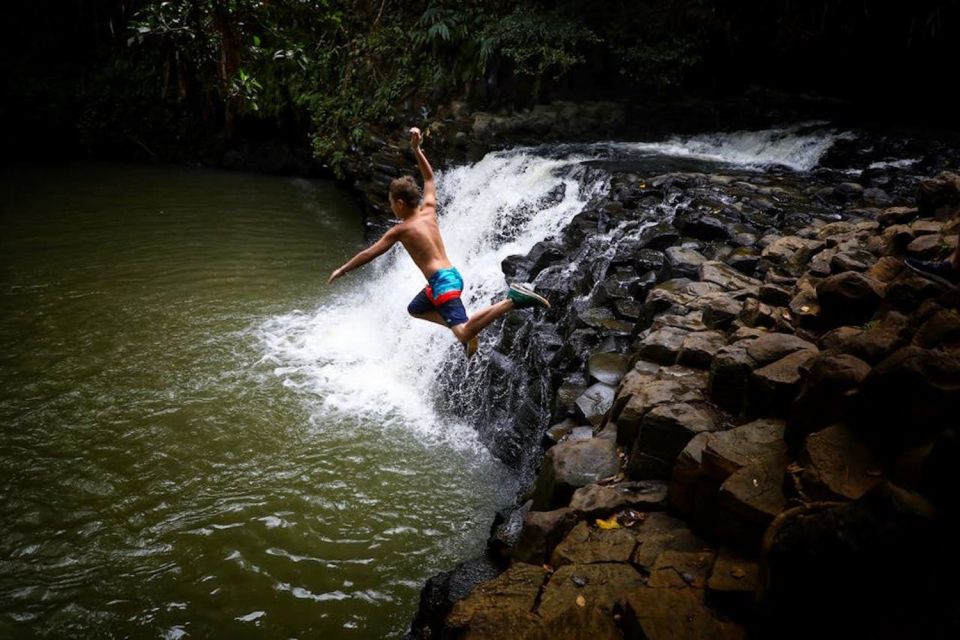 South Maui: Waterfall Tour W/ Kayak, Snorkel, and Hike - Experience Highlights