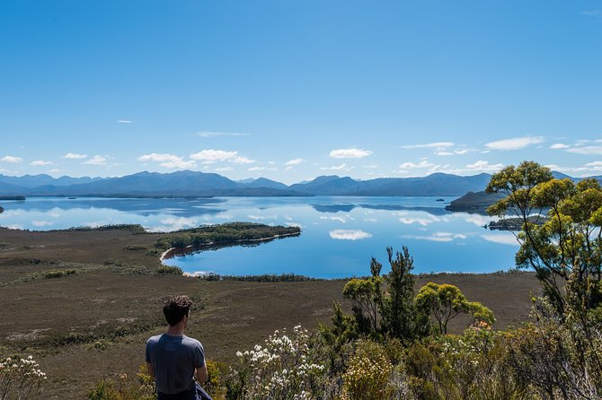 Southwest Tasmania Wilderness Experience: Fly Cruise and Walk Including Lunch - Tour Highlights