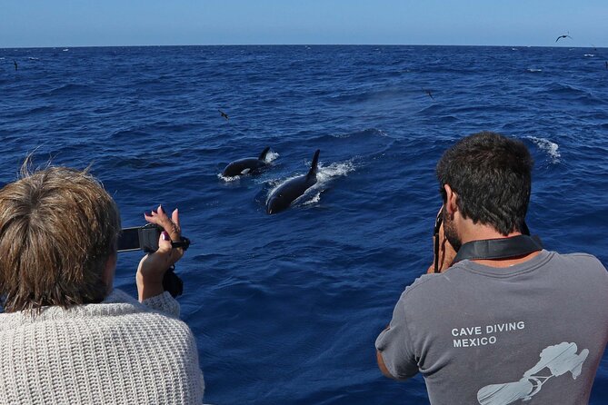 Spot Killer Whales in the Wild: Albany to Bremer Bay Day Tour - Itinerary Overview