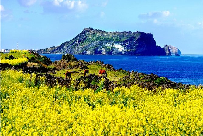 Spring 5 Days Cherry Blossom Jeju&Busan&Jinhae&Gyeongju on 31 Mar to 10 Apr - Booking and Reservation Details