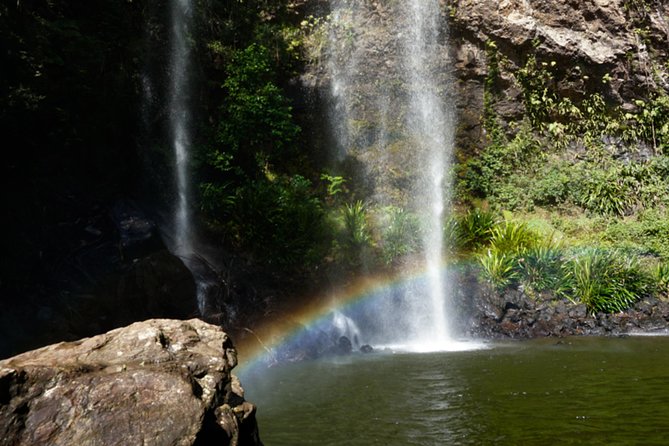 Springbrook National Park Shared Waterfalls Tour  - Surfers Paradise - Tour Experience