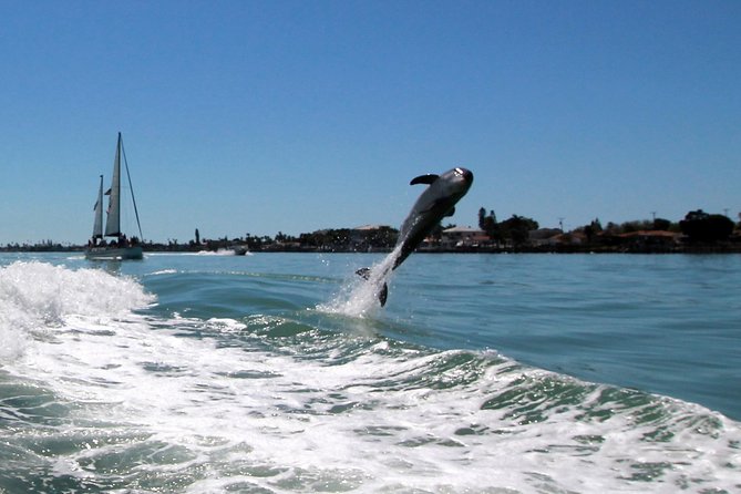 St. Pete Beach Dolphin Racer Speedboat Adventure - Cancellation Policy Overview