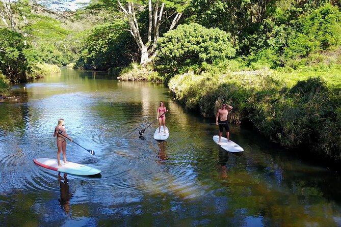 Stand Up Paddle Rental- Wailua River to Secret Falls - Rental Options