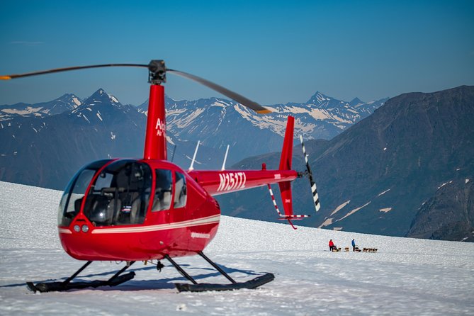 Summer Glacier Dogsledding Tour From Girdwood - Whats Included