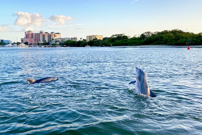 Sunset and Dolphin Cruise Around Fort Myers Beach - Inclusions