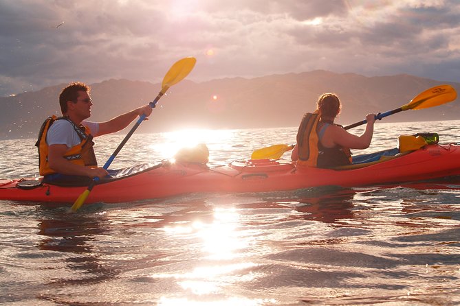 Sunset Evening Kayaking Tour - Kaikoura - Meeting and Pickup Details