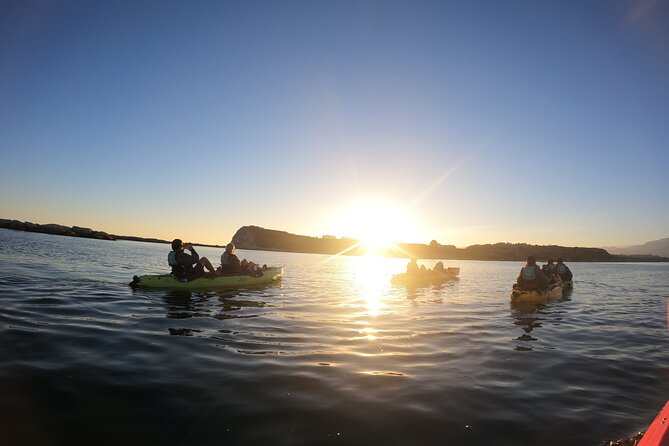 Sunset Kayak Tour in Kaikoura - Inclusions and Logistics