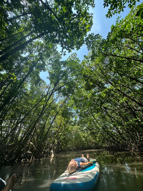 SUP at Mangroves Forest - Booking Information
