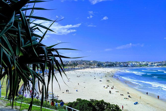 Sydney Secrets and Bondi Beach 4 HOUR AFTERNOON PRIVATE TOUR - Booking Information