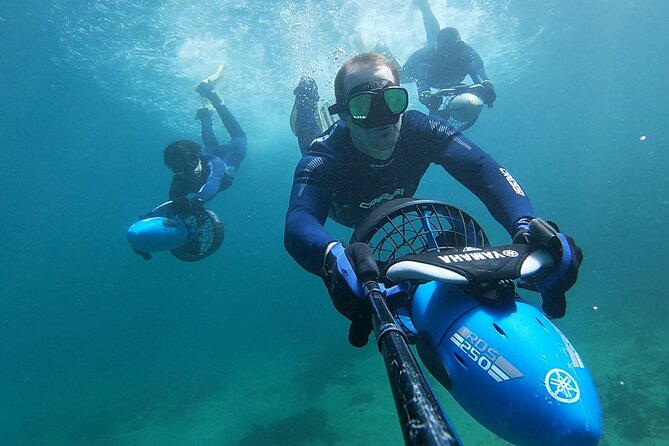 Sydney Underwater Scooter Tours - What To Expect