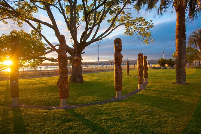 Tauranga Shore Excursion: Small-Group Bay of Plenty and Tauranga Tour - Traveler Reviews