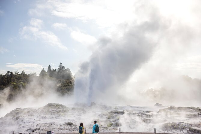 Tauranga Shore Excursion: Te Puia Maori Cultural Centre and Rotorua City Sightseeing - Pickup Details and Experience