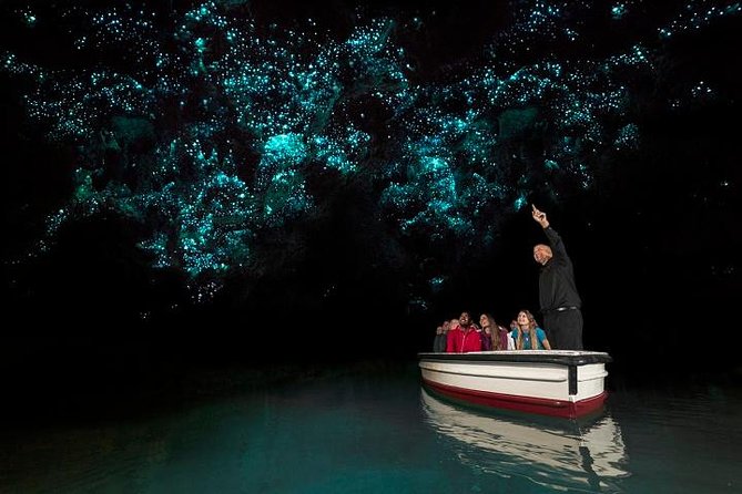 Tauranga Shore Excursion: Waitomo Caves and The Kiwi House - Detailed Itinerary