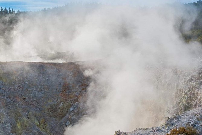 Tauranga - Wia O Tapu Wonderland & Rotorua Geysers: Private Tour - Private Tour Experience