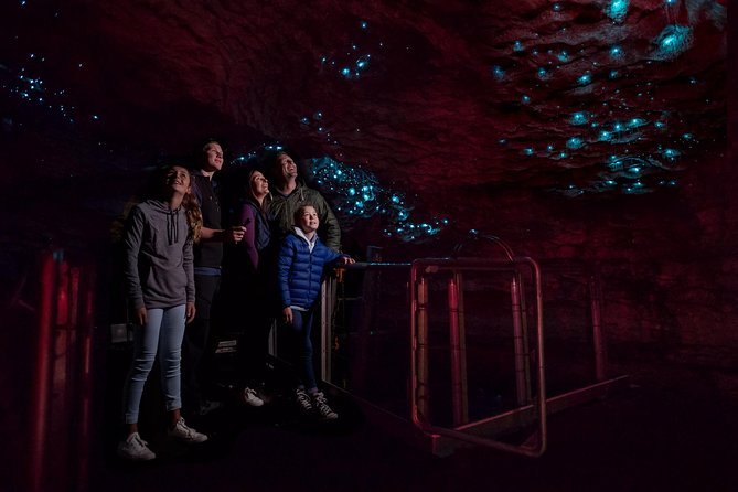 Te Anau Glow Worm Caves Tour - Tour Inclusions and Logistics