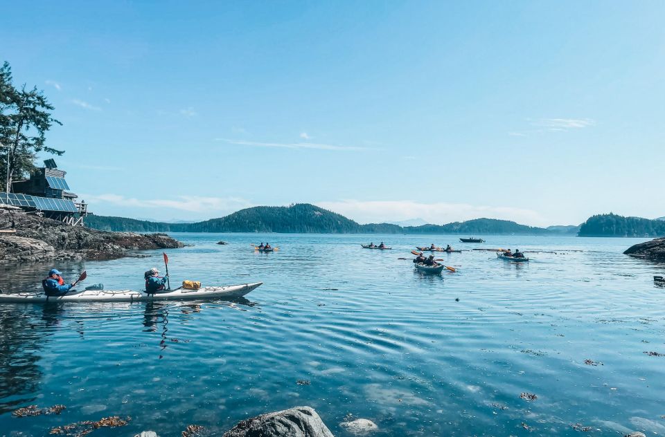 Telegraph Cove: 2 Hour Family Fun Kayaking Tour - Tour Highlights