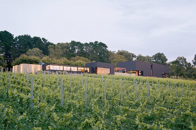 Ten Minutes by Tractor Terroir Masterclass - Vineyard Tour Experience