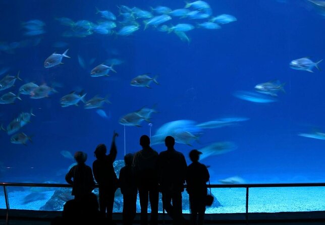 The Aquarium of Western Australia General Admission Ticket  - Perth - Booking Process for 2024