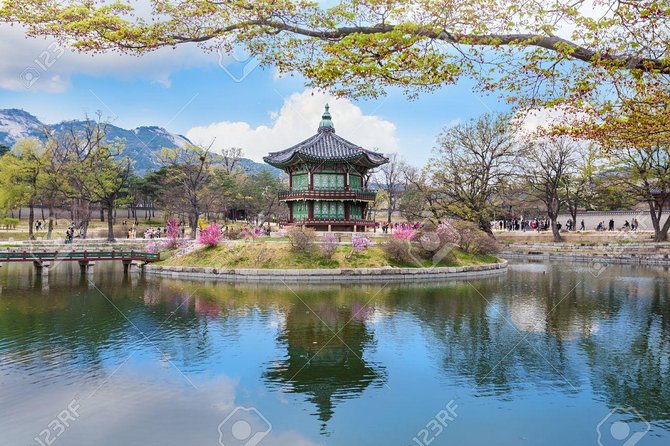 The Beauty of the Korea Cherry Blossom Discover 9days 8nights - Accommodation Details