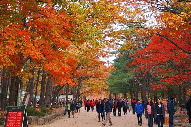 The Beauty of the Korea Fall Foliage Discover 9days 8nights - Sample Itinerary for 9 Days in Korea