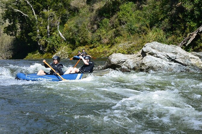 The Hobbit Barrel Run Rafting Tour on the Pelorus River - Tour Highlights and Filming Locations