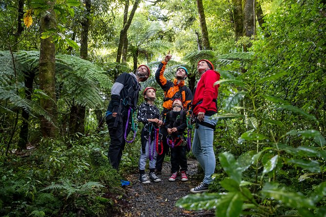 The Original Canopy Zipline Experience Private Tour From Auckland - Age and Weight Requirements