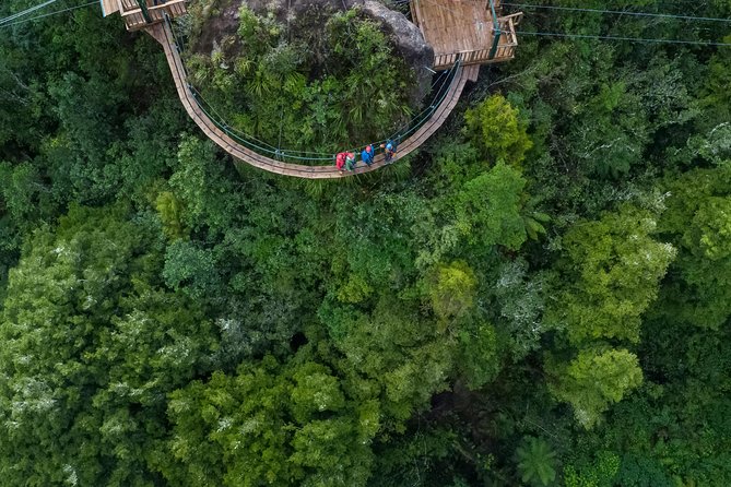 The Ultimate Canopy Zipline Experience Private Tour From Auckland - Cancellation Policy