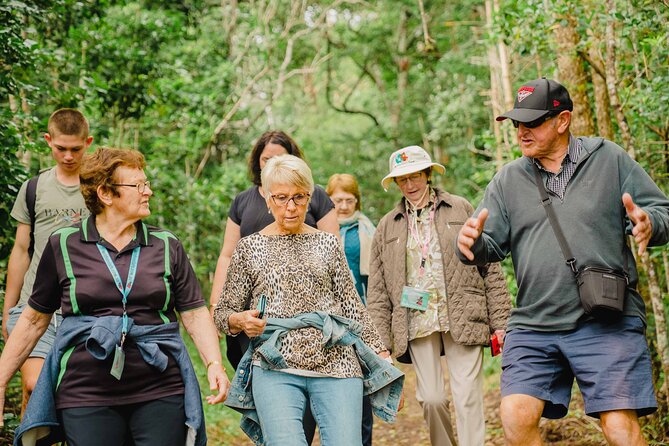 Three-Hour Guided Bushwalk With Breakfast, Cook Monument  - Norfolk Island - Additional Information