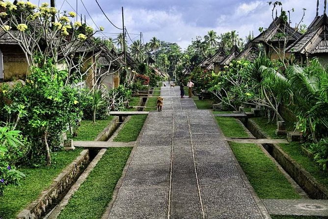 Tickets Inclusive: Blessing Bali Tour - Reviews and Additional Insights