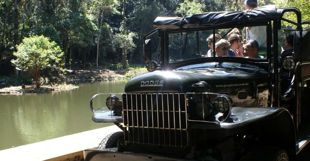 Tijuca Rain Forest Tour by Jeep From Rio De Janeiro - Tour Experience Highlights in Tijuca