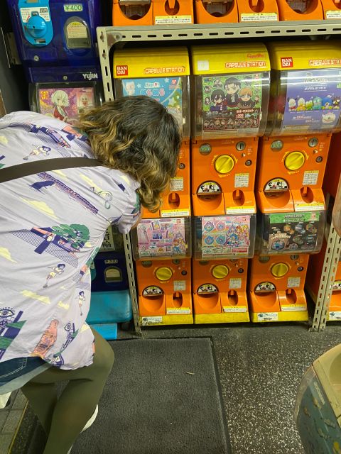 Tokyo: Akihabara, Anime, Manga, Games and Maid Cafe Tour - Expert-Guided Akihabara Exploration