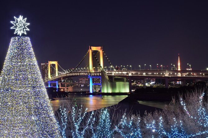Tokyo Christmas Tour With a Local Guide: Private & Tailored to You - Overview of the Christmas Tour